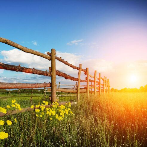 Gettyimages 500303365 Aspect Ratio 492 492